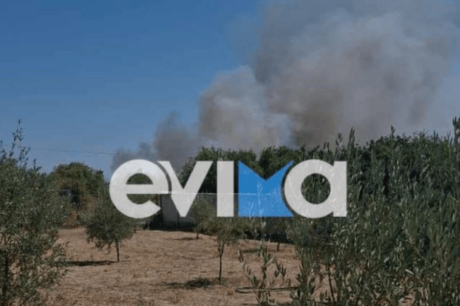 Συνελήφθη άτομο για τη φωτιά στο Αλιβέρι της Εύβοιας
