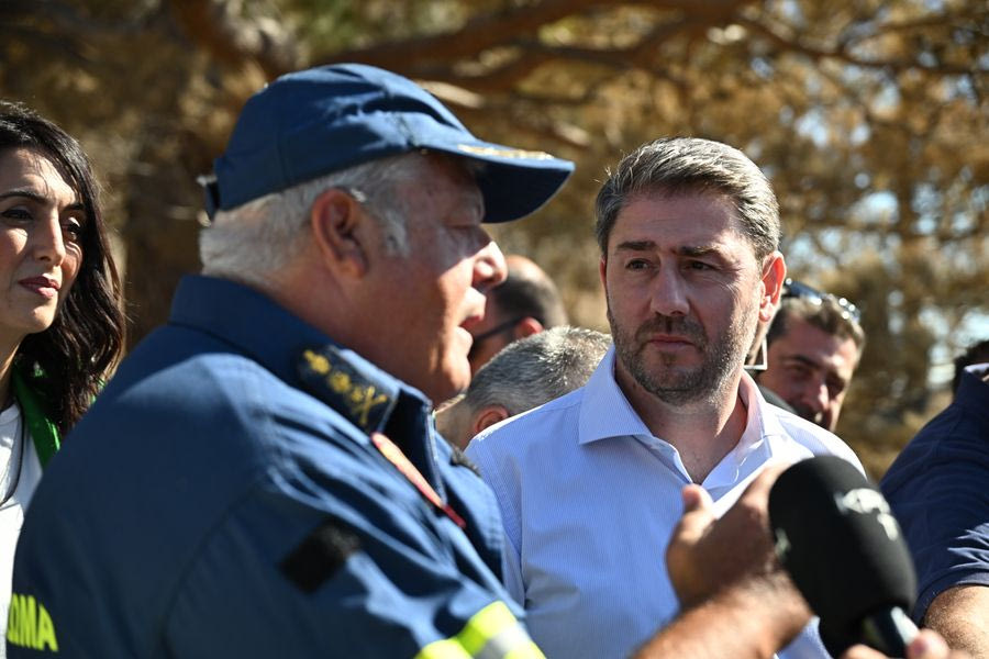 Ανδρουλάκης από Ιεράπετρα: Δεν μπορεί κάθε χρόνο να κλαίμε πάνω από τα καμένα