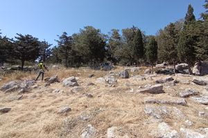 Χερσόνησος: Διαμορφώθηκαν αντιπυρικές ζώνες σε καίρια σημεία