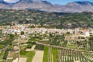 Πώς η λειψυδρία έκανε περιζήτητες τις Δαφνές