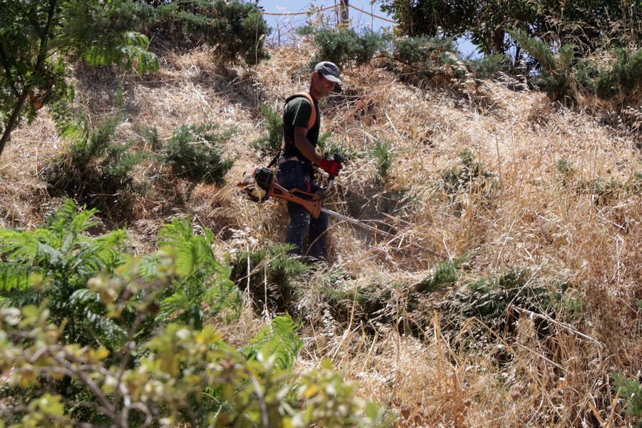 Χθες σήμερα αύριο 29/7/2025
