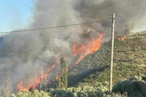 Μεγάλη φωτιά στα Μεσοχώρια της Εύβοιας – Ηχησε το 112