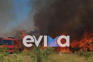 Αλιβέρι: Φωτιά κοντά σε σπίτια – Μήνυμα από το 112 για εκκένωση περιοχής