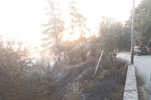 Φωτιά σε χορτολιβαδική έκταση στην Χαρκιά Ρεθύμνου