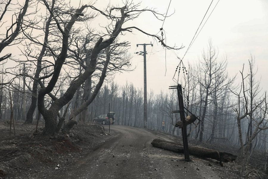 Έως και 10 βαθμούς αυξημένη η θερμοκρασία στην επιφάνεια των καμένων εδαφών
