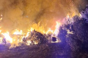 Φωτιά ξέσπασε το βράδυ  της Τρίτης στον Προφήτη Ηλία