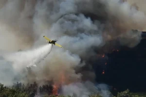 Φωτιά στην Ελευσίνα – Κινητοποιήθηκαν επίγειες και εναέριες δυνάμεις