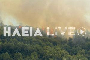 Μαίνεται δασική πυρκαγιά στην Ηλεία