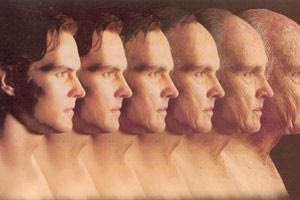 Γήρανση: Πώς πεινασμένα σκουλήκια φανέρωσαν την αναστροφή της – Φως στον καρκίνο