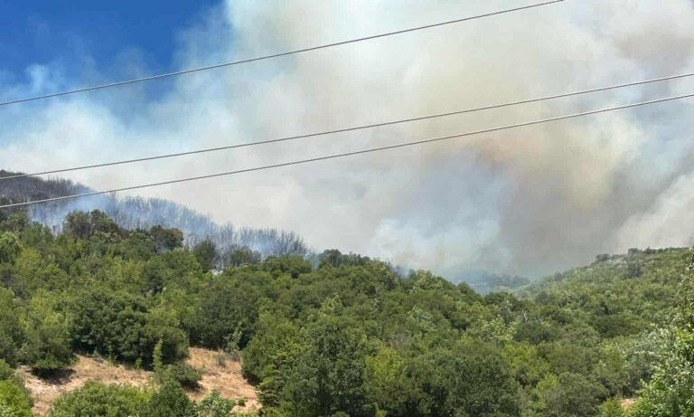 Φωτιά στη Σκάλα Δεσκάτης Γρεβενών – Εκκενώθηκε καταφύγιο όπου βρίσκονταν 55 παιδιά (βίντεο)