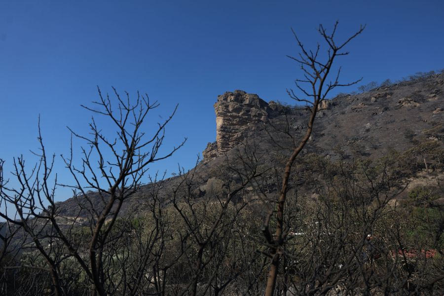 Ιεράπετρα: Δορυφορικές εικόνες αποκαλύπτουν το μέγεθος της καταστροφής από την πυρκαγιά