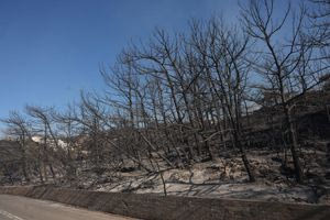 Φωτιά στην Ιεράπετρα: Οι αποκαρδιωτικές εικόνες που έδειξε το φως της ημέρας
