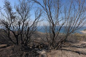 Οι καμένες εκτάσεις στην Ιεράπετρα σε δορυφορική εικόνα