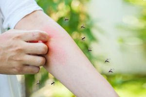 Ιός του Δυτικού Νείλου: Ποια είναι τα συμπτώματα και πώς μεταδίδεται