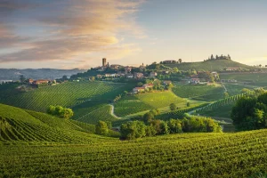 Οι 10 κορυφαίοι οινικοί προορισμοί στην Ευρώπη για το 2025