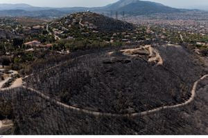 Η απώλεια δασικής βλάστησης αυξάνει τις θερμοκρασίες εδάφους – Τι έδειξαν έρευνες σε καμένες εκτάσεις