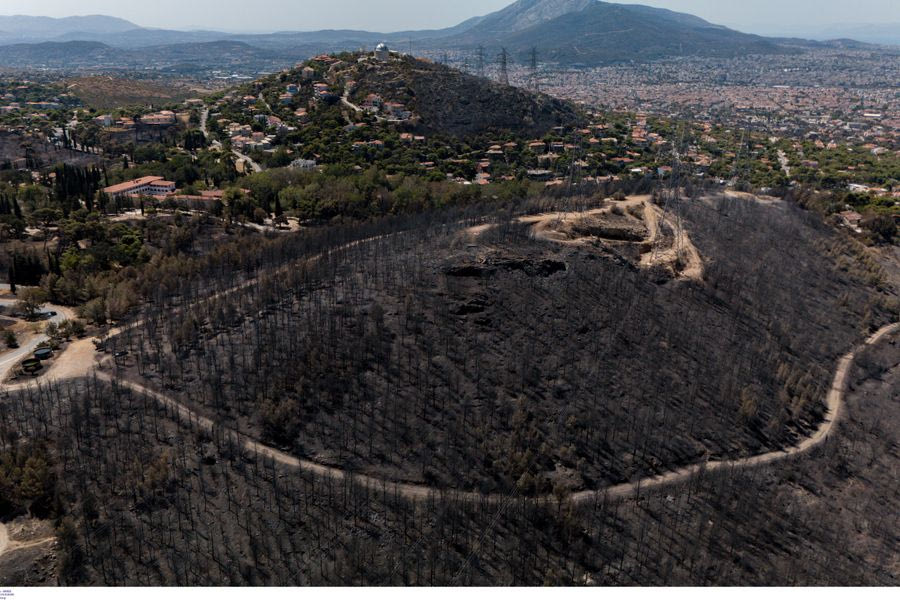 Η απώλεια δασικής βλάστησης αυξάνει τις θερμοκρασίες εδάφους – Τι έδειξαν έρευνες σε καμένες εκτάσεις
