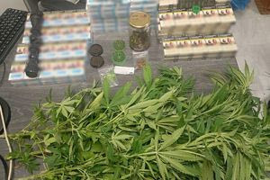 Χανιά: Συνελήφθη 51χρονος για κατοχή και καλλιέργεια δενδρυλλίων κάνναβης