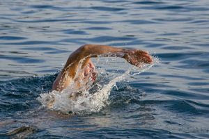 Νόσος του κολυμβητή: Όταν το καλοκαίρι γίνεται επώδυνο για τα αυτιά