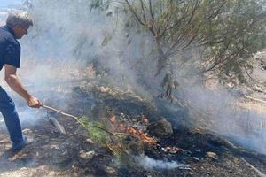 Πυρκαγιά στο Κουτσουνάρι κινητοποίησε την πυροσβεστική