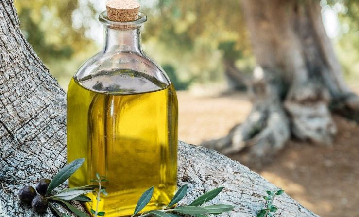 Λάδι: Μετά τις τιμές στα τάρταρα έρχεται ο δάκος και μειωμένη παραγωγή