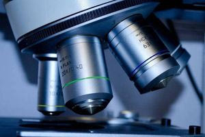 Επιστήμονες ανακάλυψαν «άγνωστο μέχρι τώρα» μέρος του ανθρώπινου σώματος