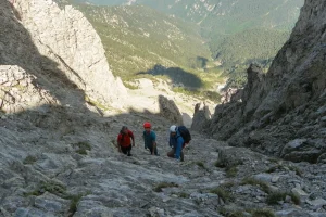 Kινητοποίηση της Πυροσβεστικής για ορειβάτισσα που τραυματίστηκε στον Όλυμπο