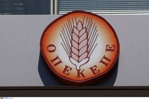 ΟΠΕΚΕΠΕ: Οι «πρωταθλητές» του πάρτι με τις επιδοτήσεις – 72χρονος έβαλε τσέπη κοντά 1 εκατ.