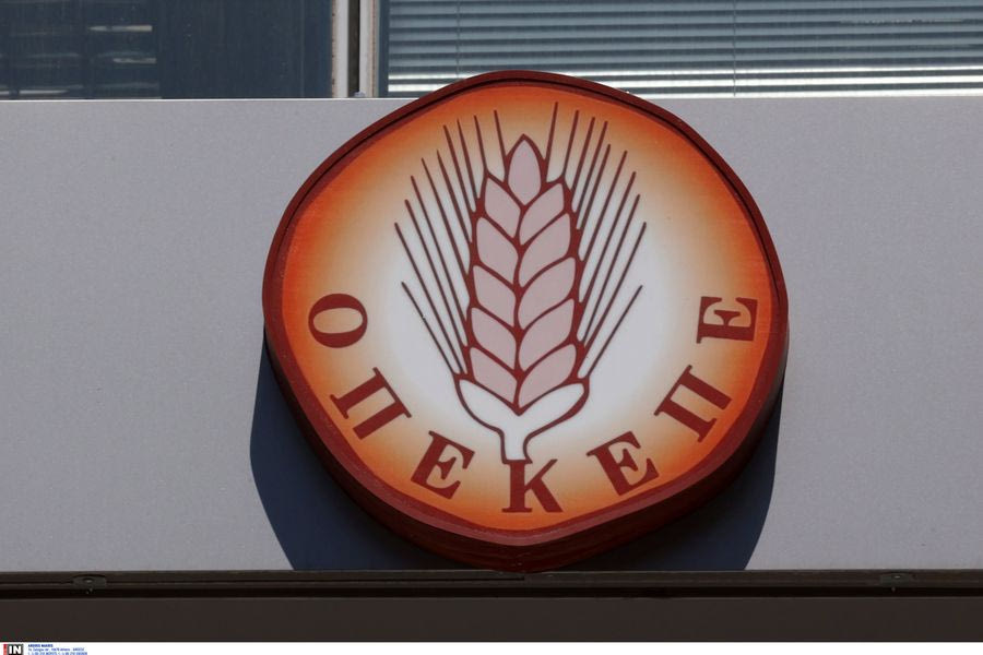 ΟΠΕΚΕΠΕ: «Φύλλο και φτερό» τα ψηφιακά δεδομένα και αρχεία κατά την έρευνα της Οικονομικής Αστυνομίας