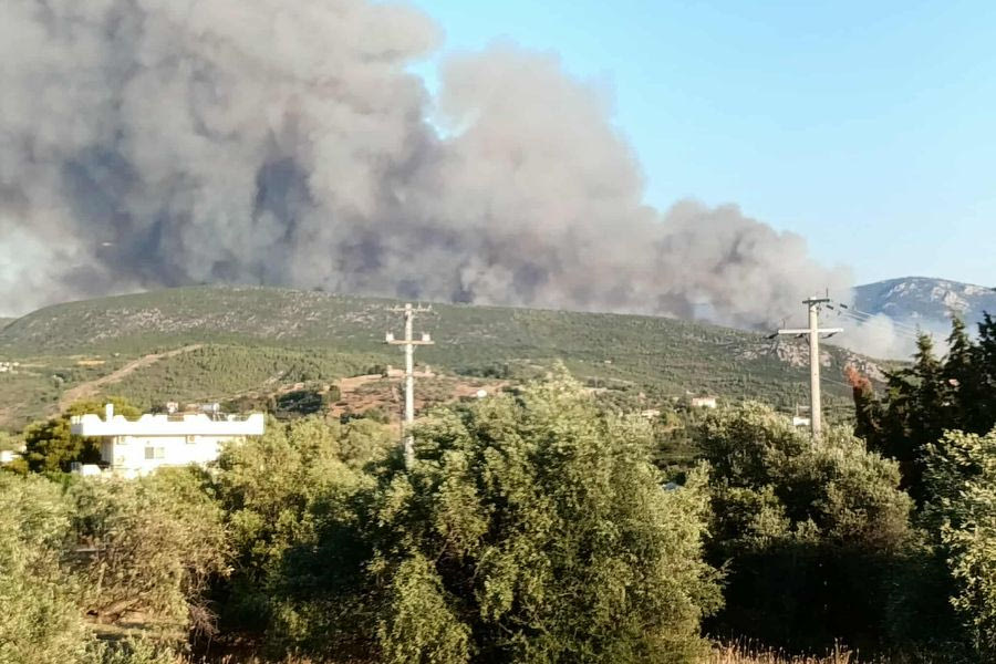 Σε ύφεση η φωτιά στον Ωρωπό – Επιχειρούν ισχυρές πυροσβεστικές δυνάμεις για να την θέσουν υπό έλεγχο