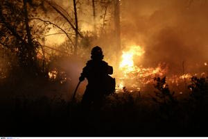 Φωτιά στον Ωρωπό: Βελτιωμένη η εικόνα – Mάχη με διάσπαρτες εστίες και αναζωπυρώσεις