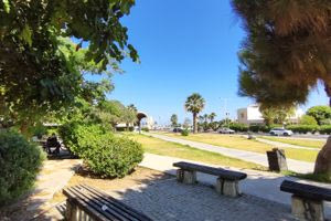 Λιμάνι Ηρακλείου: Η “ζούγκλα” που ξανάγινε πάρκο (φωτογραφίες)