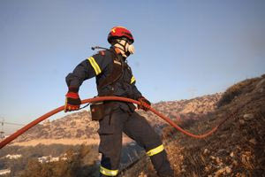 50 αγροτοδασικές πυρκαγιές σε ένα 24ωρο