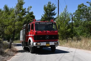 Οριοθετήθηκε η φωτιά στην Καρίτσα Λακωνίας
