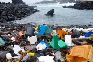 Μολυσμένη θάλασσα: Πώς να καταλάβετε αν το νερό κρύβει κινδύνους