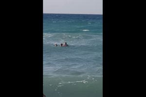 Ηράκλειο: Σερβιτόρος σε beach bar έσωσε λουόμενο (Video)