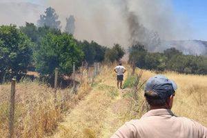 Τέθηκε υπό έλεγχο η φωτιά κοντά στην Πόμπια