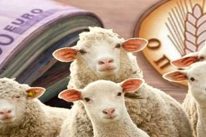 Η ΚΑΠ και το ελληνικό πορτοφόλι