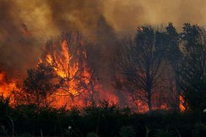 Από τον Ιούνιο έχουν ξεσπάσει 1.050 πυρκαγιές σε όλη την Ελλάδα