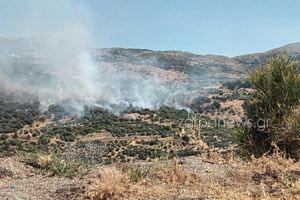 Χανιά: Μεγάλη κινητοποίηση της Πυροσβεστικής για φωτιά στο Σέλινο – Σηκώθηκαν δύο ελικόπτερα