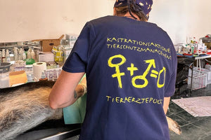 Μαλεβίζι: Στειρώθηκαν 119 ζώα συντροφιάς – Μεγάλο το ενδιαφέρον των δημοτών