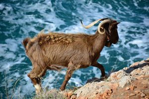 Είναι ωραίο να νιώθεις υπερηφάνεια και όχι ντροπή για τον τόπο σου