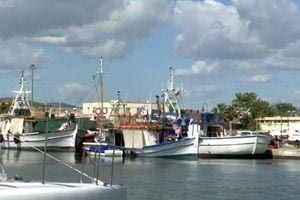 ΠΑΣΟΚ για θαλάσσια πάρκα: Θετικό βήμα, αλλά απαιτείται συνολική περιβαλλοντική στρατηγική