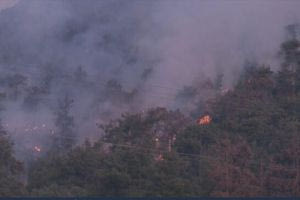 Μαίνεται η μεγάλη φωτιά στη Θάσο σε δύο μέτωπα – Σηκώθηκαν τα εναέρια μέσα