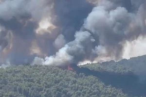 Σε ύφεση η πυρκαγιά στη Βουρβουρού Χαλκιδικής – Παραμένουν ισχυρές πυροσβεστικές δυνάμεις