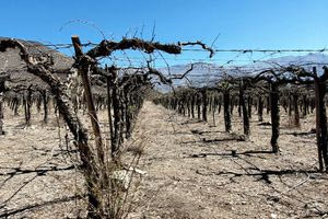Ποιες περιοχές της Ελλάδας πλήττονται από ακραία ξηρασία – Δείτε χάρτη του Meteo