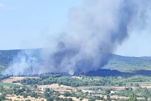 Φωτιά στο Ασπροχώρι Ωρωπού – Επιχειρούν 13 αεροσκάφη και 6 ελικόπτερα