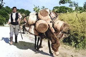 Καλαθάς με την «πραμάτεια» του