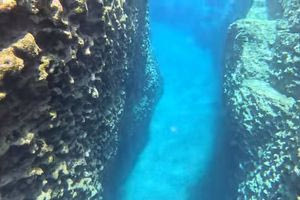 Ψαρή Φοράδα: Το μοναδικό υποθαλάσσιο φαράγγι στο Ψαροχάρακο (VIDEO)