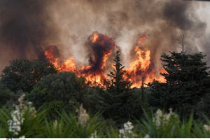 Σε πύρινο κλοιό η χώρα – 106 πυρκαγιές, οι 63 ξέσπασαν την Τρίτη
